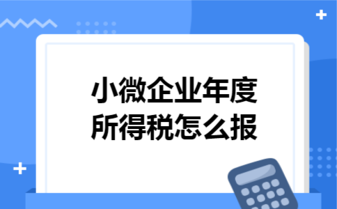 小微企业年度所得税怎么报 小微企业年度所得税怎么报