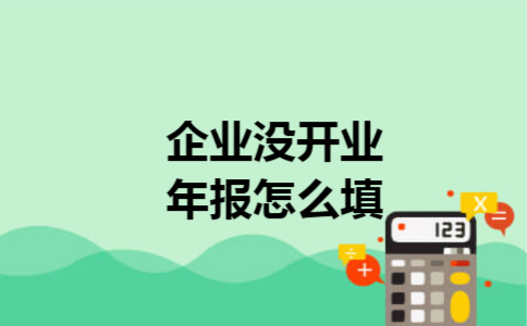 企业没开业年报怎么填