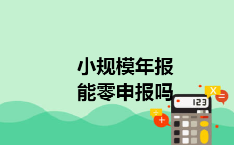 小规模年报能零申报吗