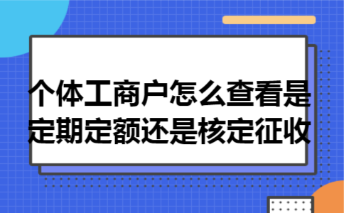 个体工商户怎么查看是定期定额还是核定征收 个体工商户怎么查看是定期定额还是核定征收