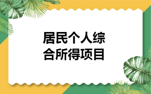 居民个人综合所得项目 居民个人综合所得项目