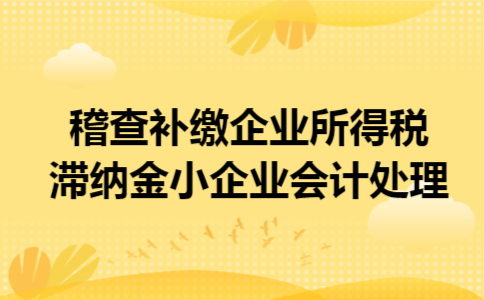 稽查补缴企业所得税滞纳金小企业会计处理