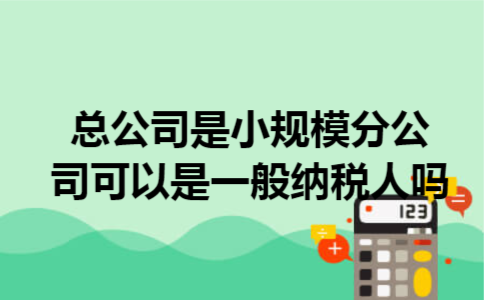  总公司是小规模,分公司可以是一般纳税人吗