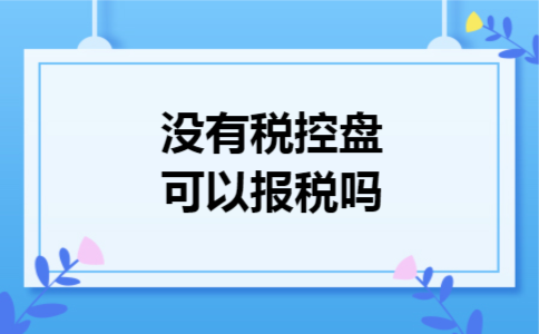 没有税控盘可以报税吗