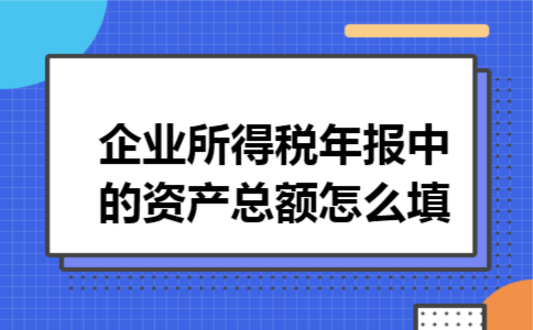 企业所得税年报中的资产总额怎么填