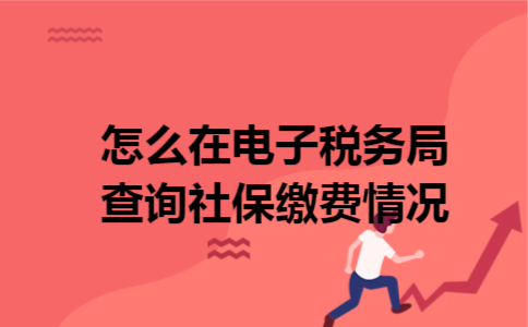 怎么在电子税务局查询社保缴费情况