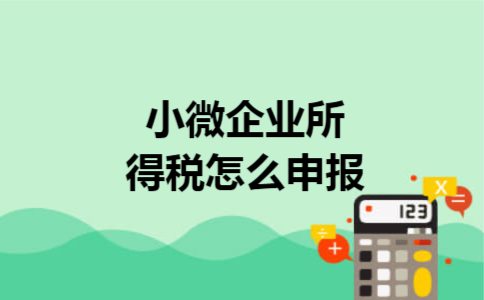 小微企业所得税怎么申报