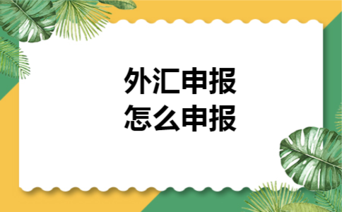 外汇申报怎么申报