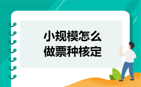 小规模怎么做票种核定 小规模怎么做票种核定