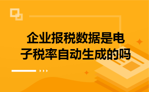 企业报税数据是电子税率自动生成的吗 企业报税数据是电子税率自动生成的吗
