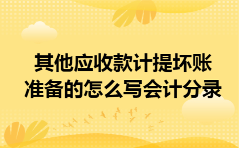 其他应收款计提坏账准备的怎么写会计分录