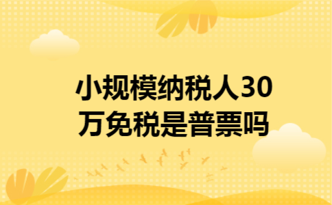 小规模纳税人30万免税是普票吗 小规模纳税人30万免税是普票吗