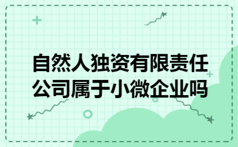 自然人独资有限责任公司属于小微企业吗 自然人独资有限责任公司属于小微企业吗