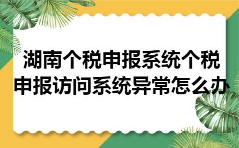 湖南个税申报系统个税申报访问系统异常怎么办 湖南个税申报系统个税申报访问系统异常怎么办