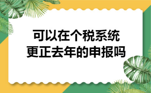 可以在个税系统更正去年的申报吗