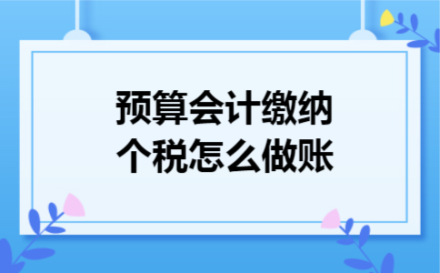 预算会计缴纳个税怎么做账 预算会计缴纳个税怎么做账