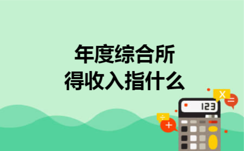 年度综合所得收入指什么