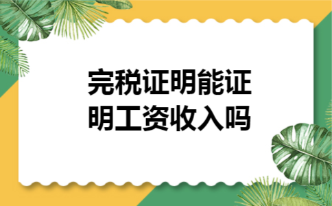 完税证明能证明工资收入吗 完税证明能证明工资收入吗