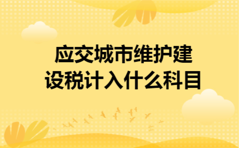 应交城市维护建设税计入什么科目