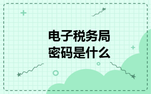 电子税务局密码是什么