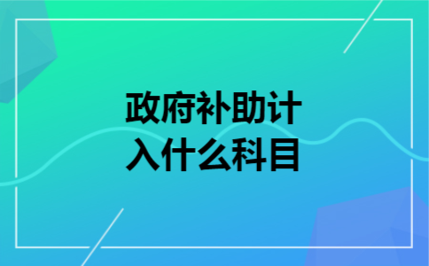 政府补助计入什么科目