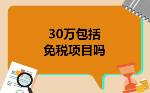  30万包括免税项目吗
