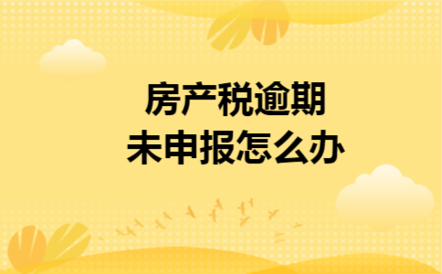 房产税逾期未申报怎么办