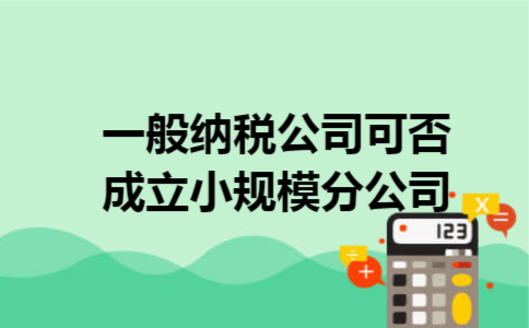 一般纳税公司可否成立小规模分公司