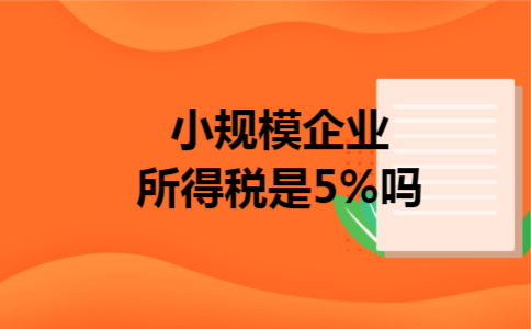 小规模企业所得税是5%吗