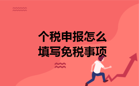 个税申报怎么填写免税事项