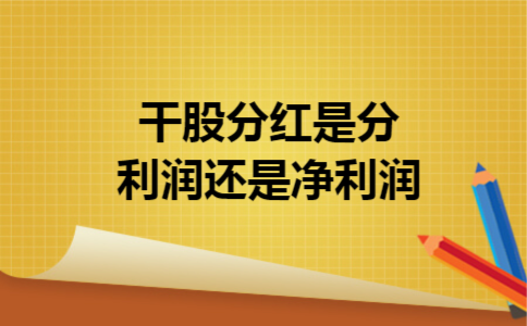 干股分红是分利润还是净利润 干股分红是分利润还是净利润