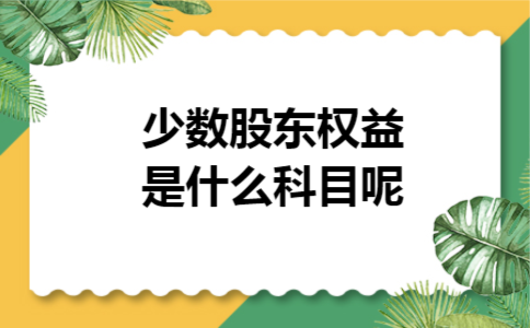 少数股东权益是什么科目呢