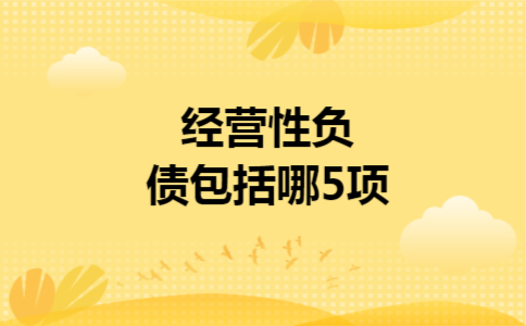 经营性负债包括哪5项 经营性负债包括哪5项
