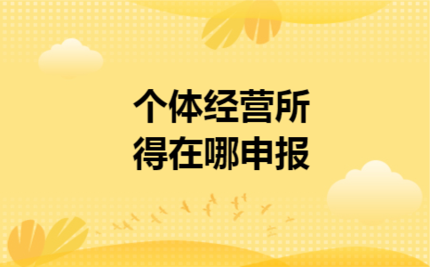 个体经营所得在哪申报