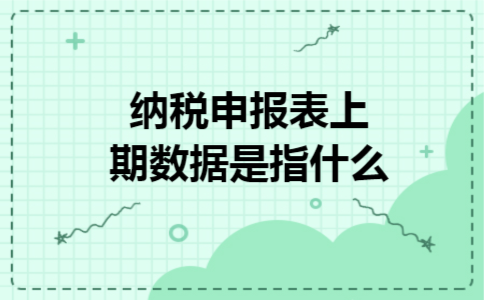 纳税申报表上期数据是指什么 纳税申报表上期数据是指什么