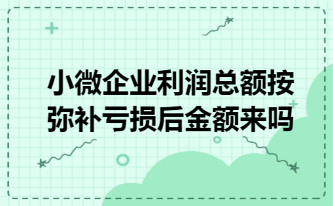 小微企业利润总额按弥补亏损后金额来吗 小微企业利润总额按弥补亏损后金额来吗