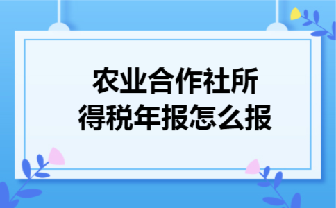 农业合作社所得税年报怎么报 农业合作社所得税年报怎么报
