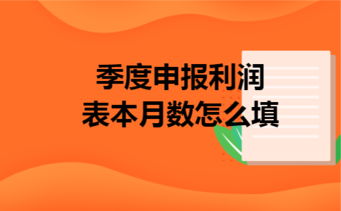 季度申报利润表本月数怎么填