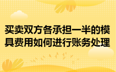 买卖双方各承担一半的模具费用如何进行账务处理