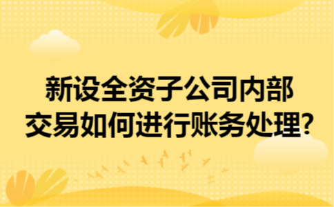 新设全资子公司内部交易如何进行账务处理?