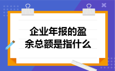 企业年报的盈余总额是指什么
