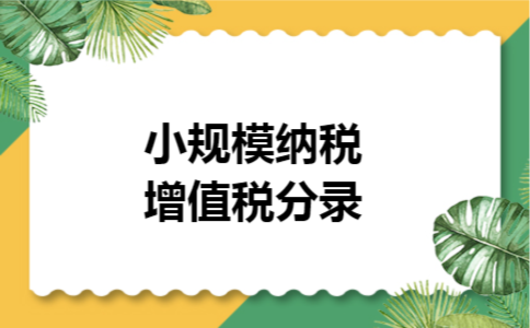 小规模纳税增值税分录
