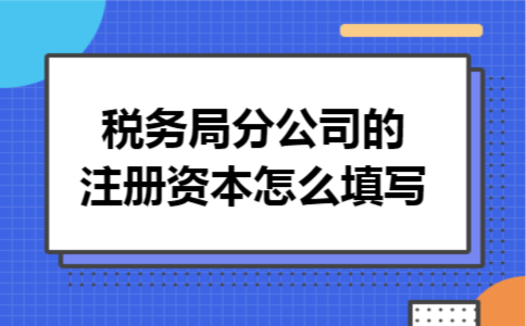 税务局分公司的注册资本怎么填写