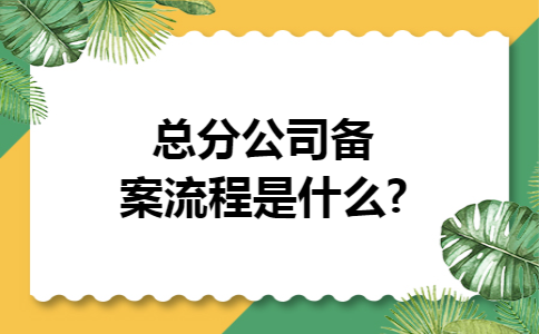 总分公司备案流程是什么?