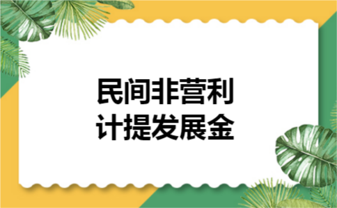民间非营利计提发展金