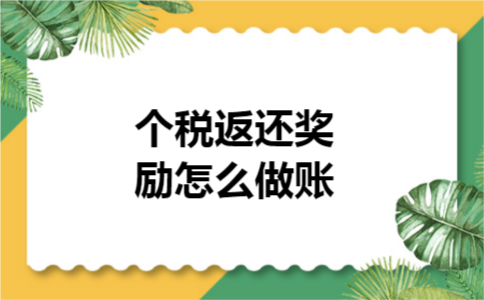 个税返还奖励怎么做账