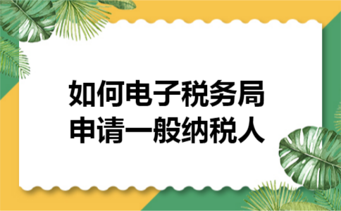 如何电子税务局申请一般纳税人