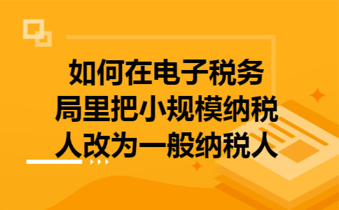 如何在电子税务局里把小规模纳税人改为一般纳税人