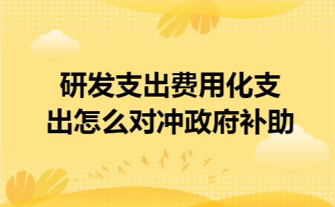 研发支出费用化支出怎么对冲政府补助